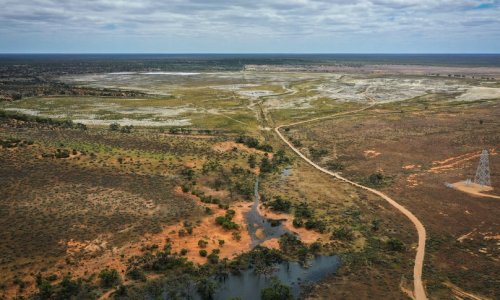 Lũ lụt sông Murray gây ra sự phá hủy – nhưng tạo lại sự hồi sinh cho hệ sinh thái.