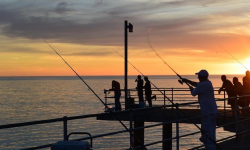 Tổ Chức RecFish SA chuẩn bị kế hoạch cấp giấy phép câu cá giải trí nhưng chính quyền tiểu bang sẽ không vội vàng.