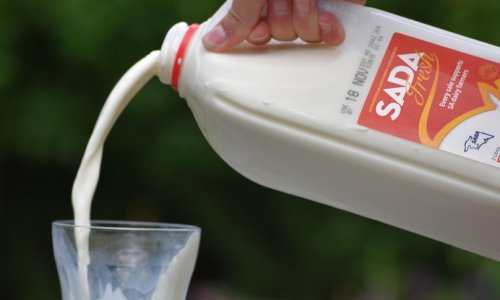 Nam Úc: Nông dân chăn nuôi bò sữa ăn mừng thành công của nhãn hiệu sữa tươi SADA Fresh sau 10 năm khó khăn