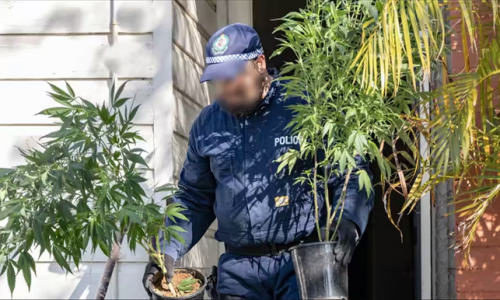 Cảnh sát thu giữ $475 triệu đô-la ma túy, bắt giữ gần 1000 người trên toàn quốc trong một tuần