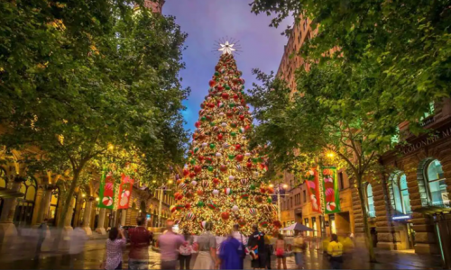 Đi đâu xem đèn Giáng Sinh ở Sydney năm 2022?