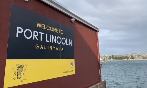 Du thuyền  Coral Princess hủy điểm đến Port Lincoln khi thời tiết khắc nghiệt đến gần