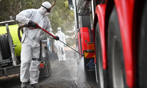 Một trang trại ở NSW bị cách ly vì dịch cúm gia cầm ngày càng trầm trọng