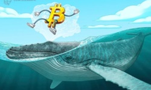 'Cá voi' tiếp tục bơm tiền vào Bitcoin