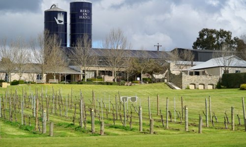 Nổ lực của công ty Terramin mở lại mỏ vàng bên cạnh nhà máy rượu vang Bird in Hand ở Adelaide Hills đã bị từ chối