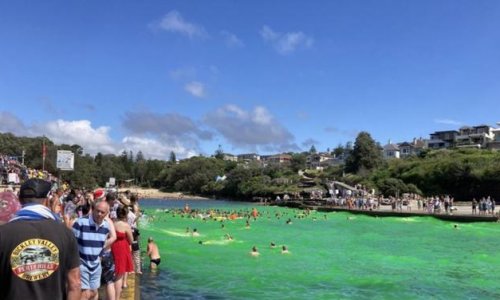 Nước biển Clovelly Bay, Sydney, chuyển sang màu xanh ngọc trong Giáng sinh