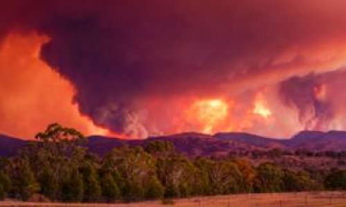 Biến đổi khí hậu làm tăng 30% nguy cơ cháy rừng ở Úc