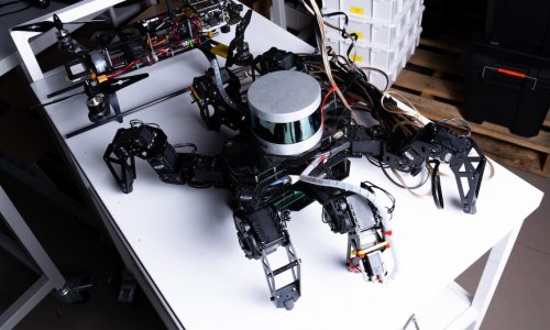 Các khoa học gia ở Đại học Flinders sử dụng sinh học từ côn trùng để chế tạo ro-bot có não