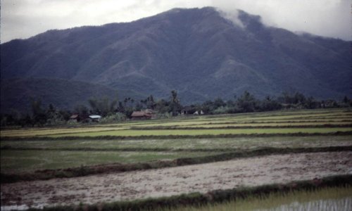 Về Bài Thơ ‘Nhà Tôi’ Và Ca Khúc ‘Chuyện Giàn Thiên Lý’