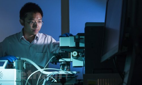 Úc tài trợ tiến sĩ người Việt phát triển công nghệ pin Mặt Trời.