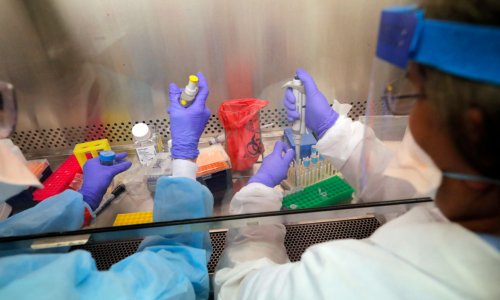 Úc phát hiện hợp chất có thể kiềm chế sự phát triển của coronavirus