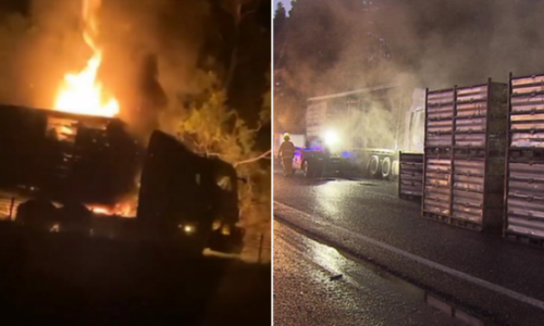 Vụ cháy xe tải trên đường cao tốc Đông Nam Adelaide khiến hơn 4.000 con gà chết