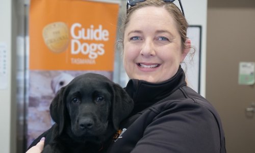 Tasmania lo ngại thiếu hụt chó dẫn đường trong hai năm tới