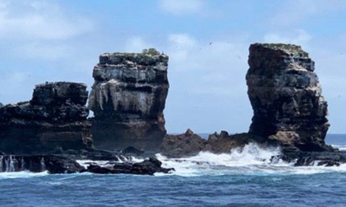 ‘Cổng vòm Darwin’ sụp đổ – các loài sinh vật trên đảo không phải do tiến hóa mà thành?