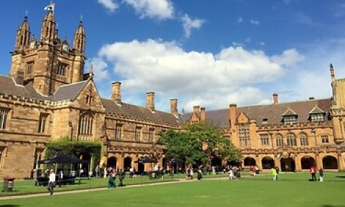 Hai đại học Úc qua mặt cả Havard và Cambridge về tỷ lệ sinh viên có việc làm