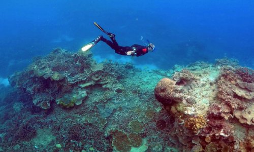 Trung Quốc phủ nhận gây ảnh hưởng đưa rạn san hô Great Barrier vào danh sách nguy cấp