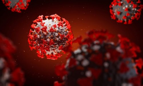 Phát hiện kháng thể có thể “vô hiệu hóa” virus Covid-19.
