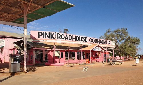 Căn nhà Pink Roadhouse mang tính biểu tượng 'không từ chối phục vụ bất kỳ ai ' tùy thuộc vào tình trạng tiêm chủng của khách hàng.