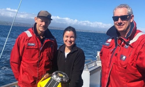 Các nghiên cứu gia lắp đặt phao để thu thập dữ liệu cho nghiên cứu chống xói mòn bờ biển Nam Úc