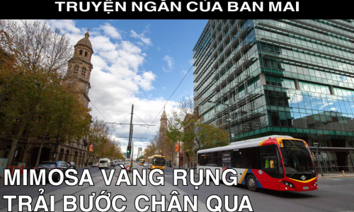 TRUYỆN NGẮN CỦA BAN MAI - MINOSA VÀNG RỤNG RẢI BƯỚC  CHÂN QUA