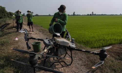 Xâm nhập mặn ở đồng bằng sông Cửu Long : Hoạt động của con người tác động nhiều hơn biến đổi khí hậu