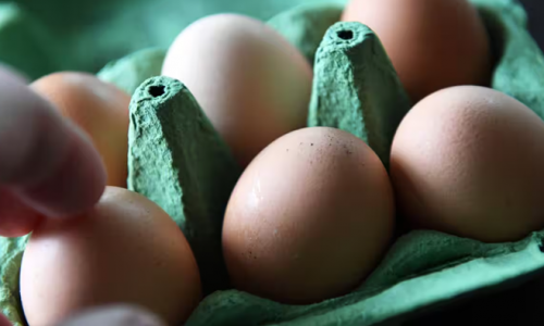 Coles giới hạn số lượng trứng mua trên mỗi khách hàng