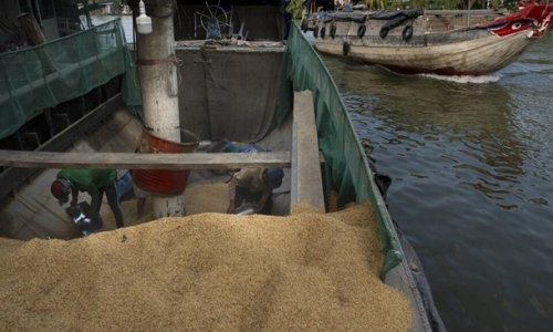 Việt Nam: Đồng bằng sông Cửu Long tìm giải pháp cho tình trạng ngập úng