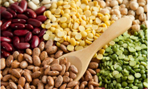 Các loại đậu (Beans) lợi ích cho sức khỏe.