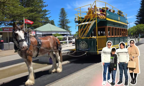 Roadtrip từ Melbourne đến Adelaide - trải nghiệm thú vị cho cả gia đình