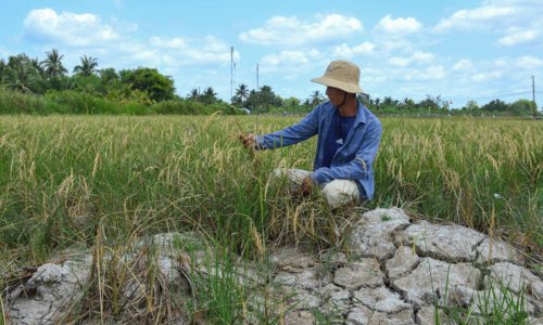  Xâm nhập mặn ở đồng bằng sông Cửu Long : Hoạt động của con người tác động nhiều hơn biến đổi khí hậu