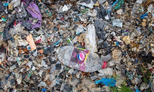 Chuỗi siêu thị các quốc gia Thái Bình Dương ký hiệp ước giải quyết khủng hoảng rác thải nhựa