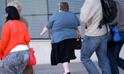 Tiểu bang có nhiều người béo nhất và không khỏe mạnh nhất của Úc được tiế t lộ trong báo cáo sức khỏe mới của Priceline.