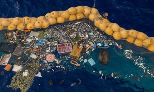 Nước Úc thải ra đại dương 130,000 tấn nhựa mỗi năm