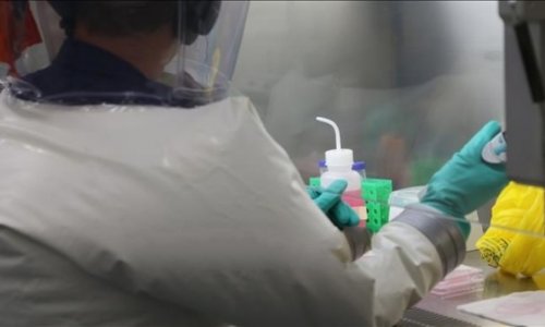 Úc thử nghiệm vaccine mới chống coronavirus  Covid-19 (SARS-CoV-2) tại Hà Lan