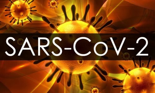 Số ca nhiễm coronavirus Covid-19 lên hơn 1,000 - Úc đổ thêm tiền cho nghiên cứu y tế