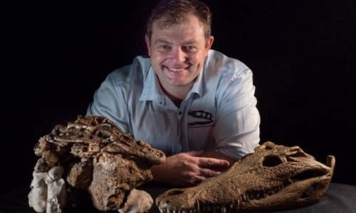 Hóa thạch 95 triệu năm của cá sấu ăn thịt khủng long