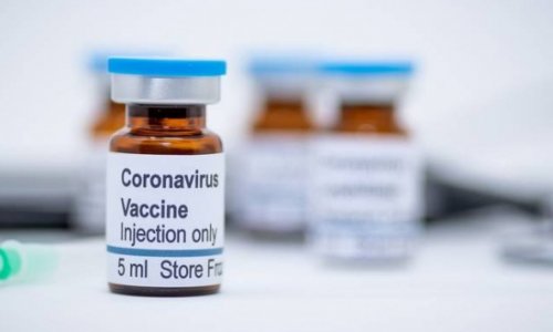 Vắc-xin COVID-19 'hứa hẹn' sẽ được sử dụn g vào đầu năm sau