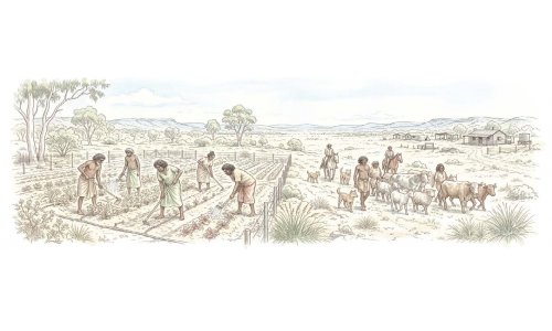 Người Aboriginal với quá trình 65,000 năm trên đất Úc