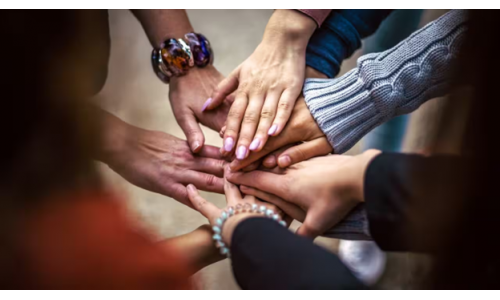 Dịch vụ hữu ích: Sáng kiến SEDI - Chương trình tài trợ cho doanh nghiệp phục vụ cộng đồng tại Úc