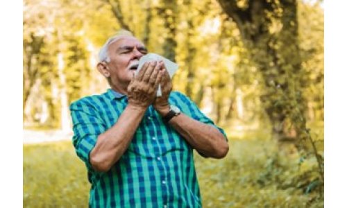 Tại sao khi mùa xuân đến ở Úc, quảng cáo thuốc dị ứng xuất hiện nhiều hơn?