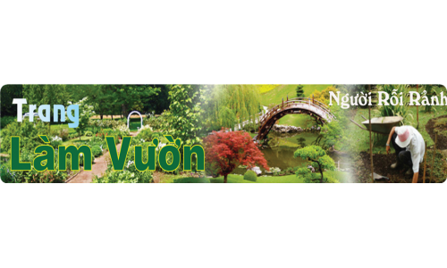 TRANG LÀM VƯỜN - Bón phân: Cung cấp chất dinh dưỡng cho rau, đậu trồng trong vườn nhà