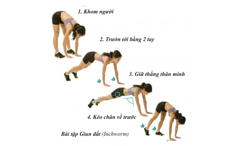 Bài tập thể dục tốt cho tim mạch.