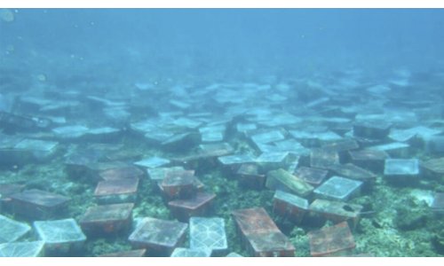 Biển Đông : Động cơ chính trị của Trung Quốc đằng sau tuyên bố bảo vệ môi trường ?