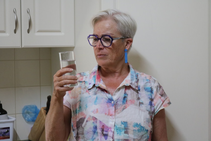 Cư dân địa phương Quorn trả tiền nước bằng giá với cư dân Adelaide - nhưng thị trưởng nói rằng nước của họ không thể uống được