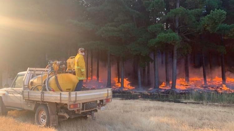 Các khoản tài trợ chống cháy rừng dành cho trang trại ở Nam Úc đã thu hút hơn 1.200 đơn ghi danh từ các chủ đất