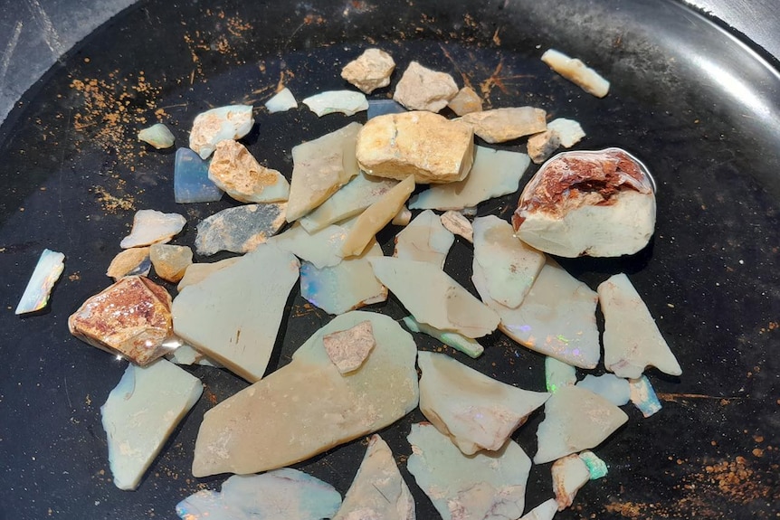 Trời mưa làm lộ ra đá opal quý hiếm ở Andamooka.