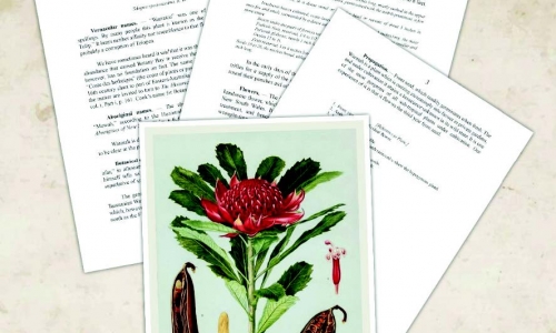 Hồi ký - Nguyễn Văn Phong - Nhà và Nhà tôi - CHƯƠNG III - XÂY DỰNG NHÀ (P7)
