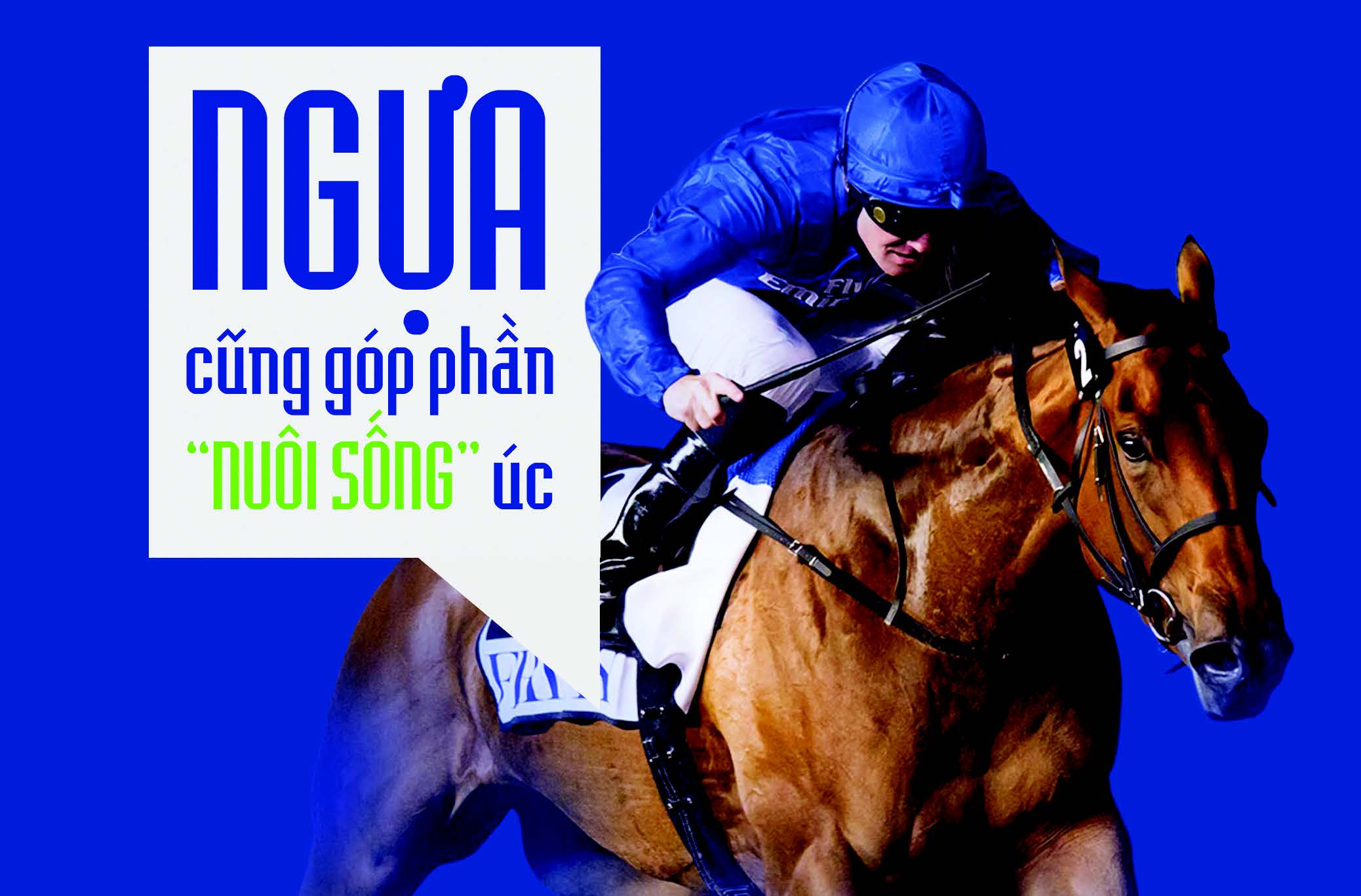 Ngựa cũng góp phần 