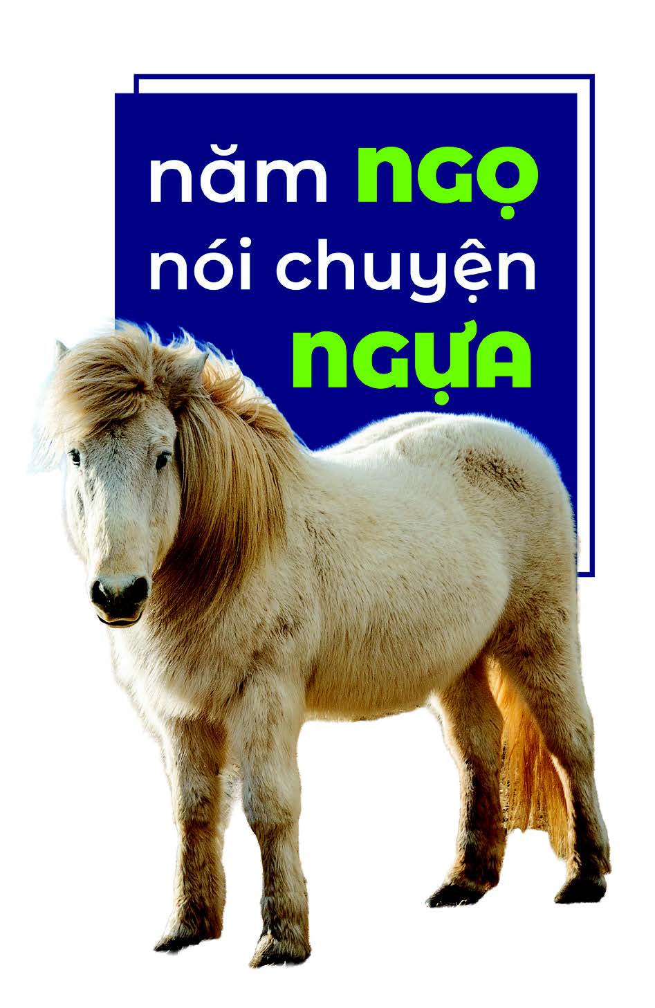 Năm Ngọ nói chuyện Ngựa