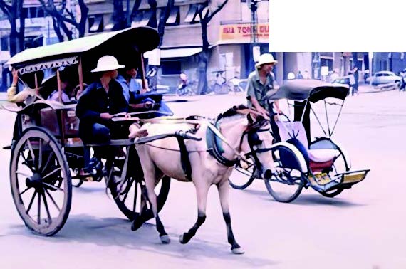 Hoài niệm về xe ngựa Sài Thành